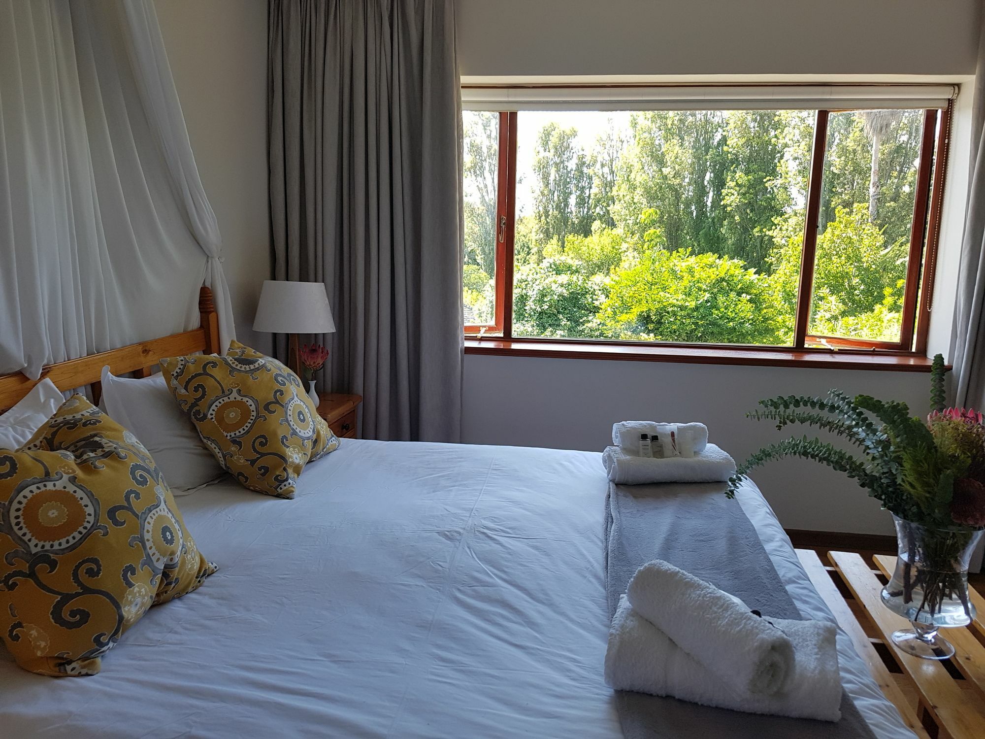 Valley Heights Guest House And B & B Cape Town Ngoại thất bức ảnh
